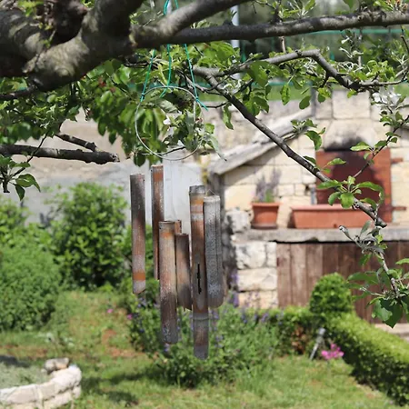 Vicina Guest house