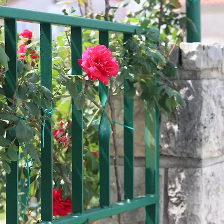 Vicina Guest house Rovinj